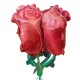 RED ROSES ULTRA SHAPE P60 PKT