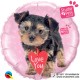 TERRIER LOVE YOU STUDIO PETS 18" PKT  (LIMITED STOCK)