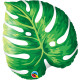 TROPICAL PHILODENDRON 21" SHAPE GROUP B PKT YTE