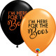 SIMPLY HERE FOR THE BOOS 11" ORANGE & ONYX BLACK (25CT)