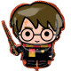 HARRY POTTER WITH WAND SHAPE P38 PKT 