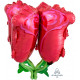 RED ROSES ULTRA SHAPE P60 PKT