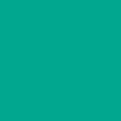 AQUA GREEN GLOSS OPAQUE RITRAMA L VINYL (305MM X 5M)