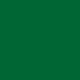FOREST GREEN GLOSS OPAQUE RITRAMA L VINYL (305MM X 5M)