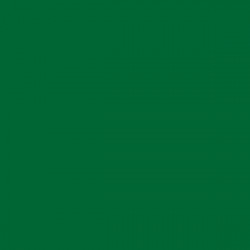 FOREST GREEN GLOSS OPAQUE RITRAMA L VINYL (305MM X 5M)