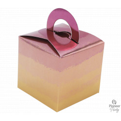 ROSE GOLD OMBRE BALLOON WEIGHT BOXES 8CT (YFR)