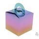 RAINBOW OMBRE BALLOON WEIGHT BOXES 8CT (YFR)