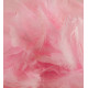 LIGHT PINK ELEGANZA FEATHERS MIXED SIZES 50G 