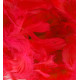 RED ELEGANZA FEATHERS MIXED SIZES 50G 