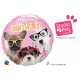 STUDIO PETS BIRTHDAY PUPPIES WITH EYEGLASSES 18" PKT (LIMITED STOCK)