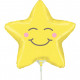 CHUBBY STAR 14" MINI SHAPE FLAT