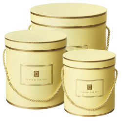 YELLOW WITH GOLD TRIM HAMILTON HAT BOXES (SET OF 3)