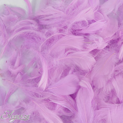 LAVENDER ELEGANZA FEATHERS MIXED SIZES 50G 