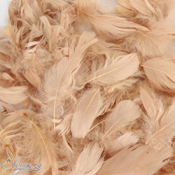 NATURAL ELEGANZA FEATHERS MIXED SIZES 50G 