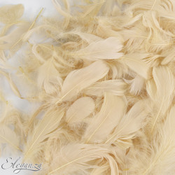 PAMPAS ELEGANZA FEATHERS MIXED SIZES 50G 