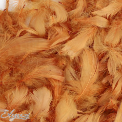 COPPER ELEGANZA FEATHERS MIXED SIZES 50G 