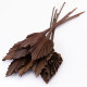DEEP BROWN DYED PALM SPEAR 10 STEMS PER BUNCH