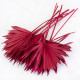 RED DYED PALM SUN 10 STEMS PER BUNCH