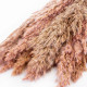 LIGHT PINK WILD REED PLUME 10 STEMS PER BUNCH