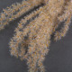NATURAL FLUFFY REED GRASS BUNCH OF 10