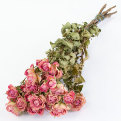 LIGHT PINK NATURAL DRIED ROSE SPRAY BUNCH OF 10 STEMS