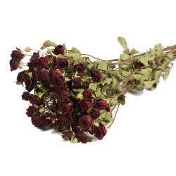 RED NATURAL DRIED ROSE SPRAY BUNCH OF 10 STEMS