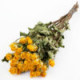 YELLOW NATURAL DRIED ROSE SPRAY BUNCH OF 10 STEMS