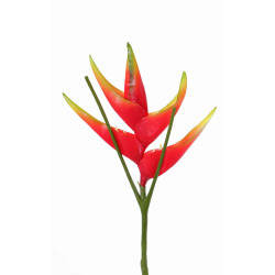 HELICONIA RED AND GREEN 81CM