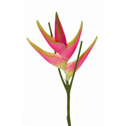 HELICONIA PINK AND GREEN 81CM