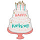 CAKE DAY HAPPY BIRTHDAY SHAPE P35 PKT (21" x 28")